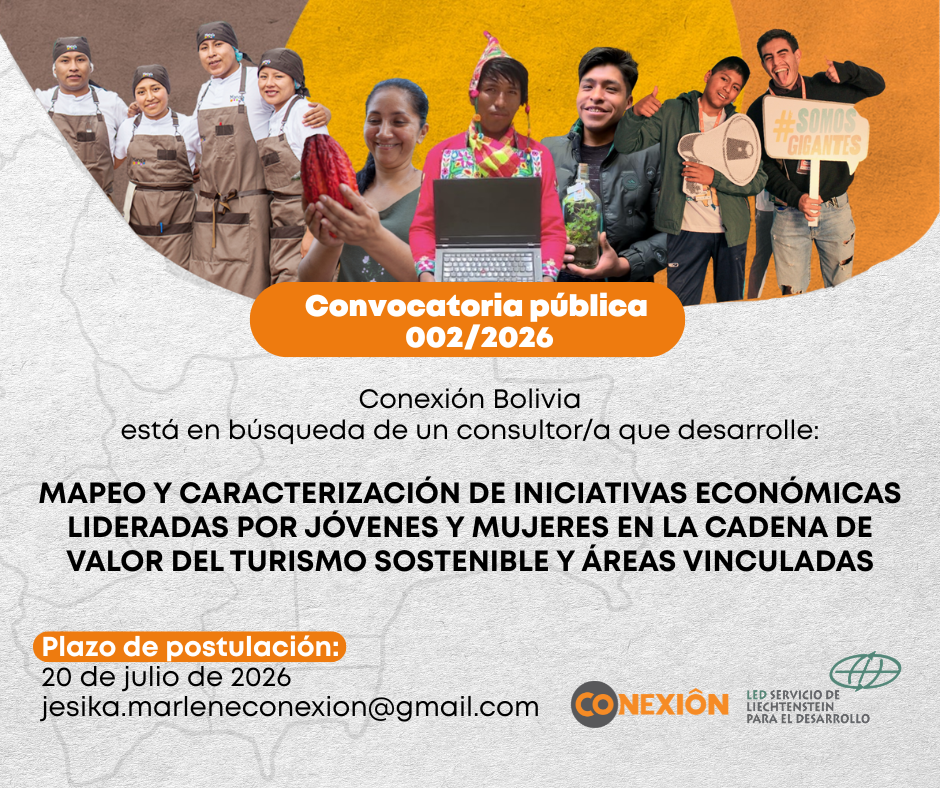 Consultoría Bolivia
